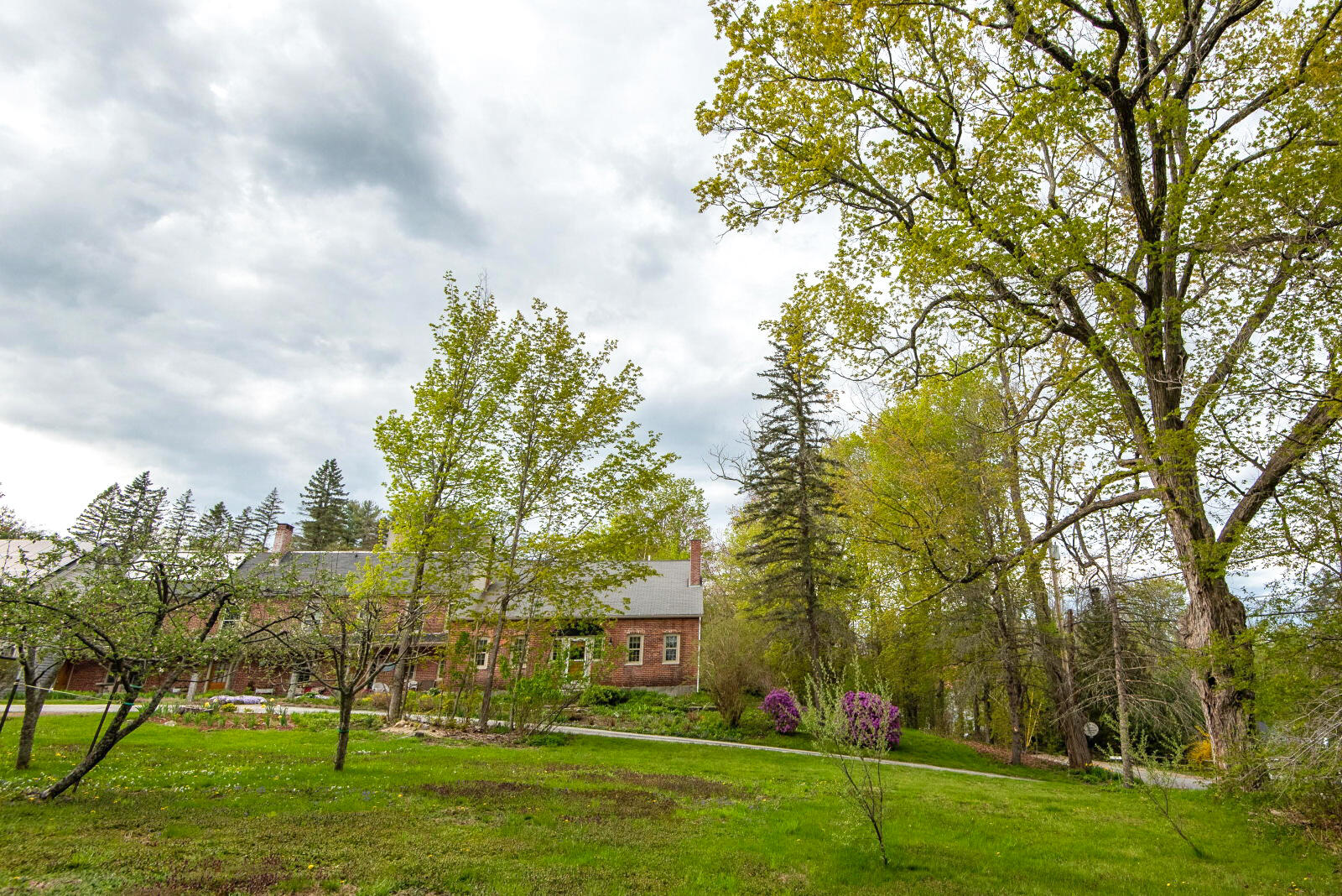 120 North Bridgton Road Bridgton, ME 04009 - Photo 52 of 89 Small apple orchard