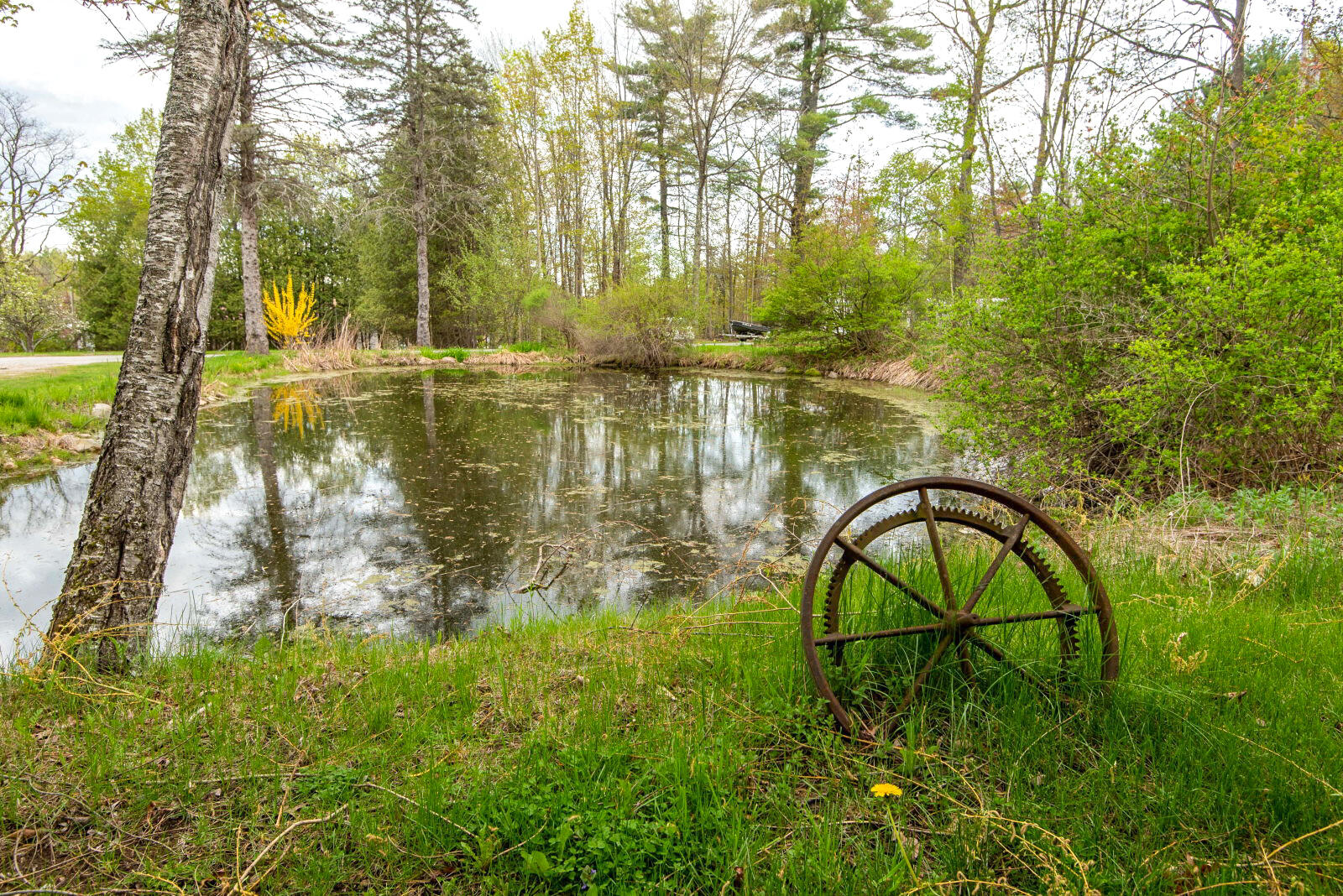 120 North Bridgton Road Bridgton, ME 04009 - Photo 56 of 89 Pond with Duck Coop