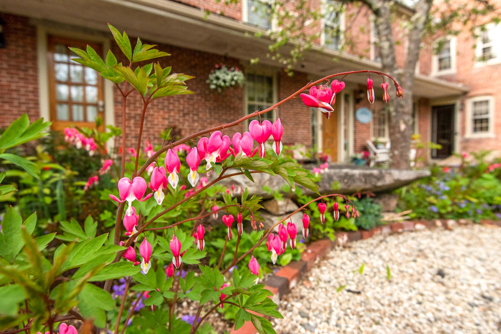 120 North Bridgton Road Bridgton, ME 04009 - Photo 68 of 89 Front Courtyard & 60' covered porch
