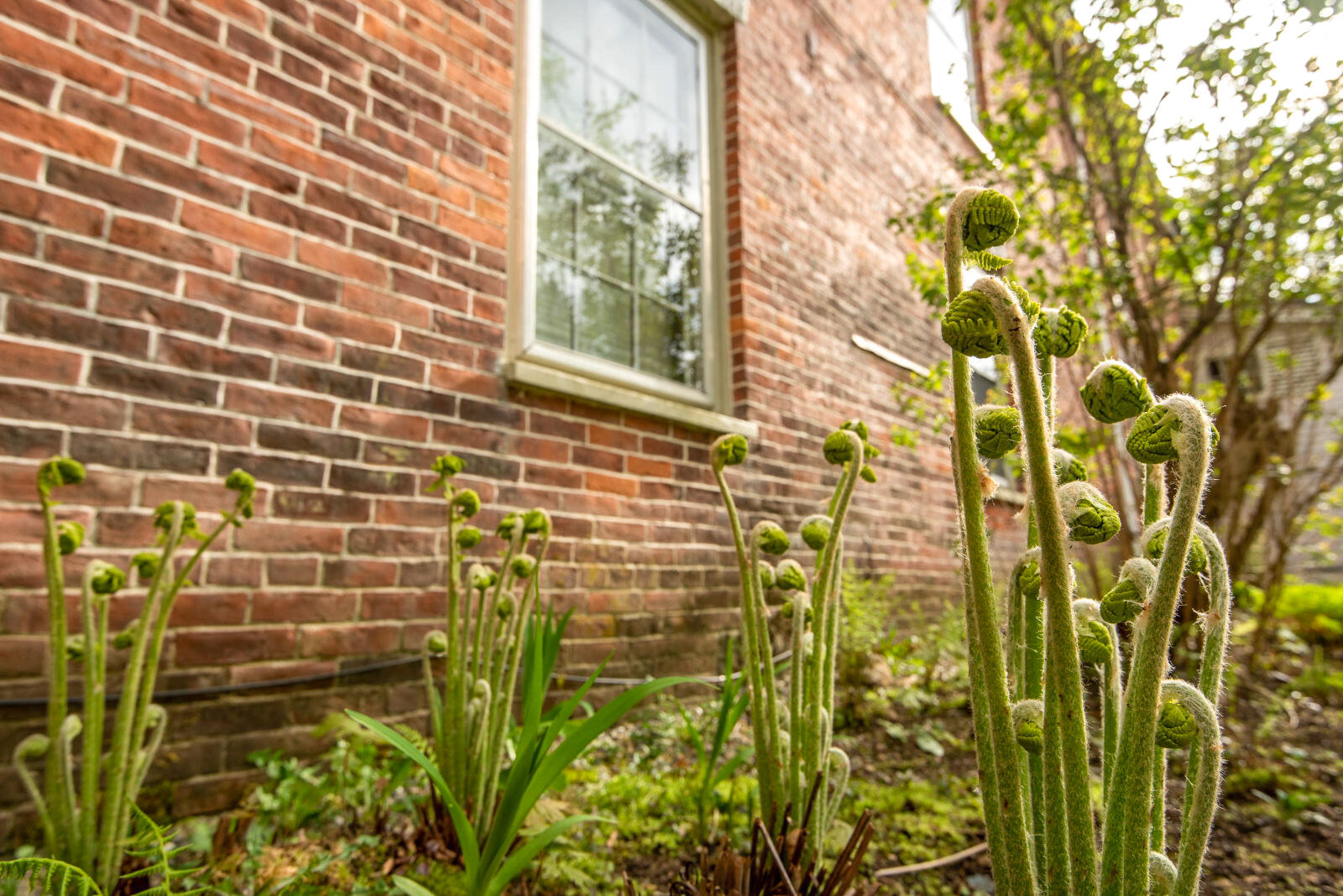 120 North Bridgton Road Bridgton, ME 04009 - Photo 69 of 89 Exterior Detail