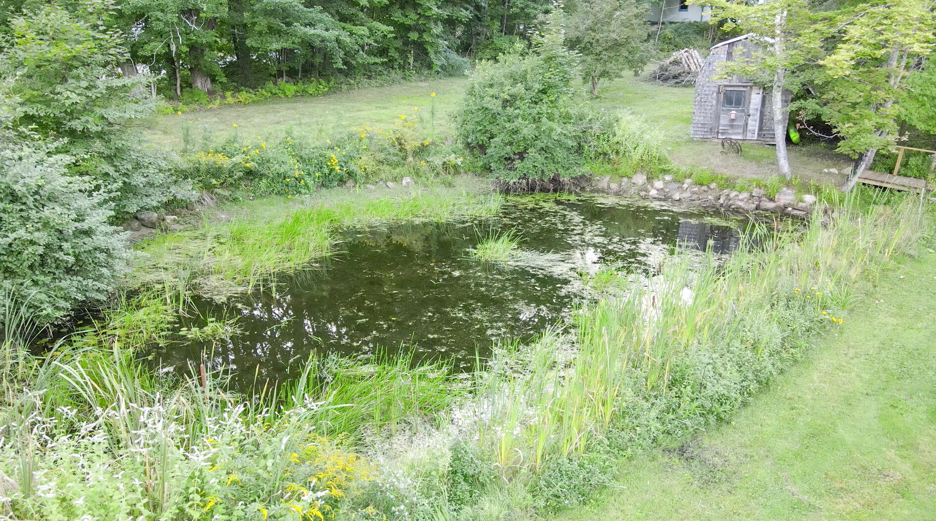 120 North Bridgton Road Bridgton, ME 04009 - Photo 73 of 89 Pond with Duck Coop