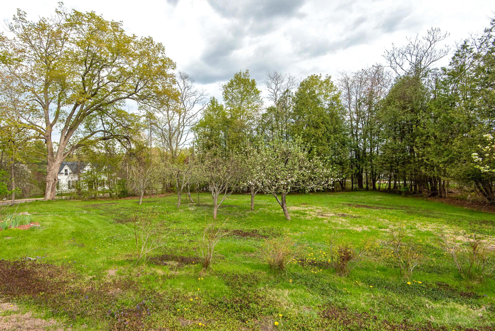 120 North Bridgton Road Bridgton, ME 04009 - Photo 76 of 89 Small apple orchard