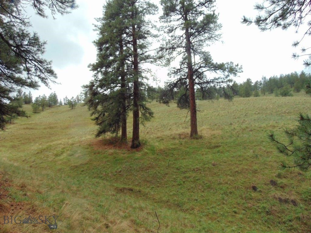 Tbd Shady Spring Lane Cascade, MT 59421 - Photo 6 of 78 Gallery Image 6