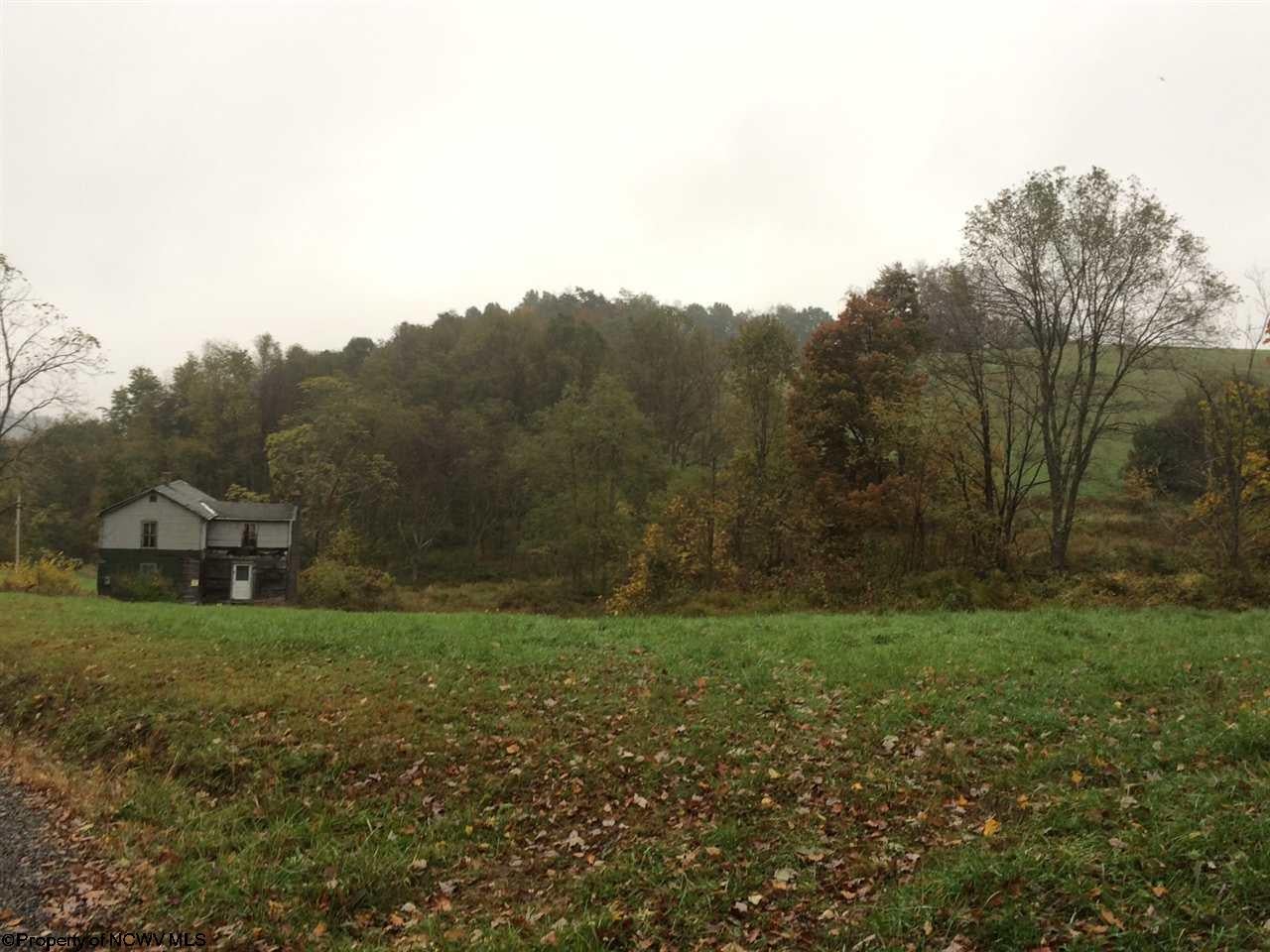 600 Rag Tavern Road Terra Alta, WV 26764 - Photo 6 of 14 Gallery Image 6