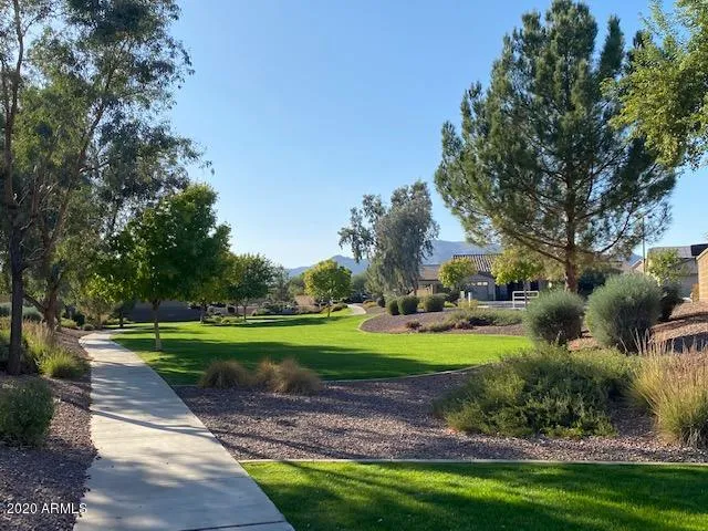 a view of a park with large trees