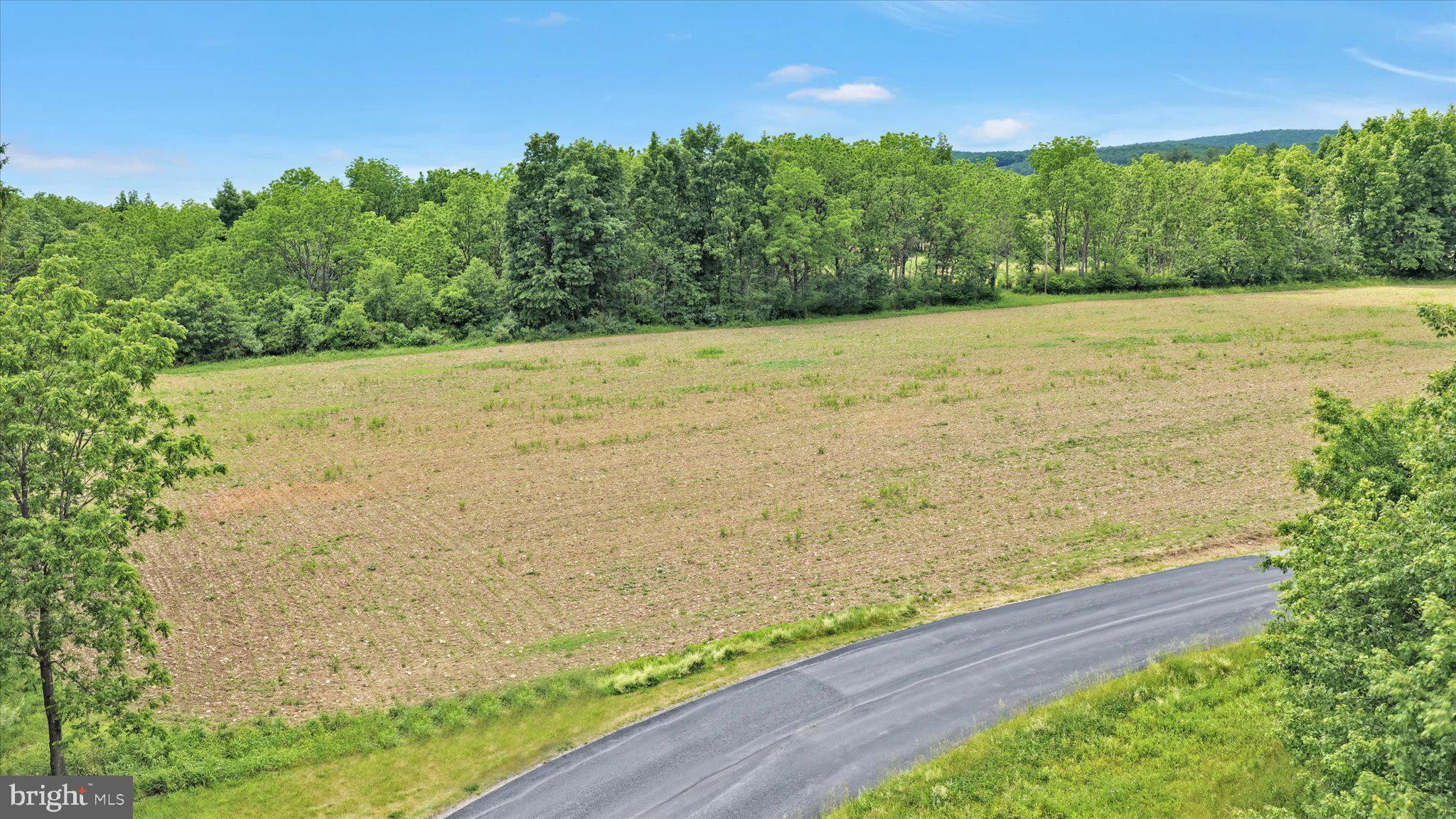 0 Fredericks Grove Road Lehighton, PA 18235 - Photo 14 of 14 Serene landscape ready for dreams.