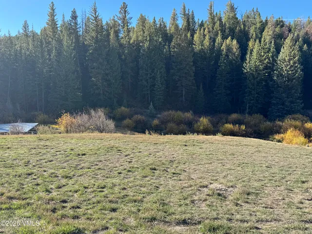 a view of water view with trees in the background