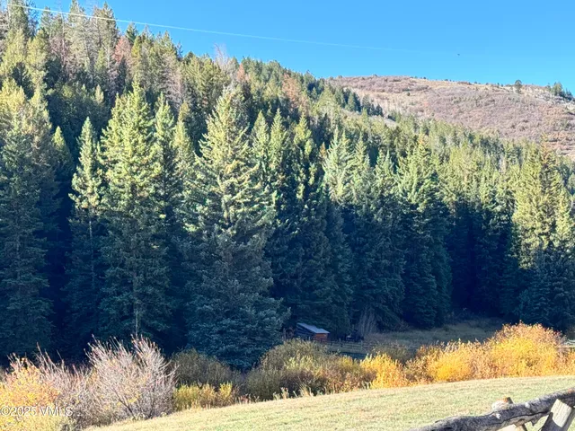 a view of a bunch of trees and bushes