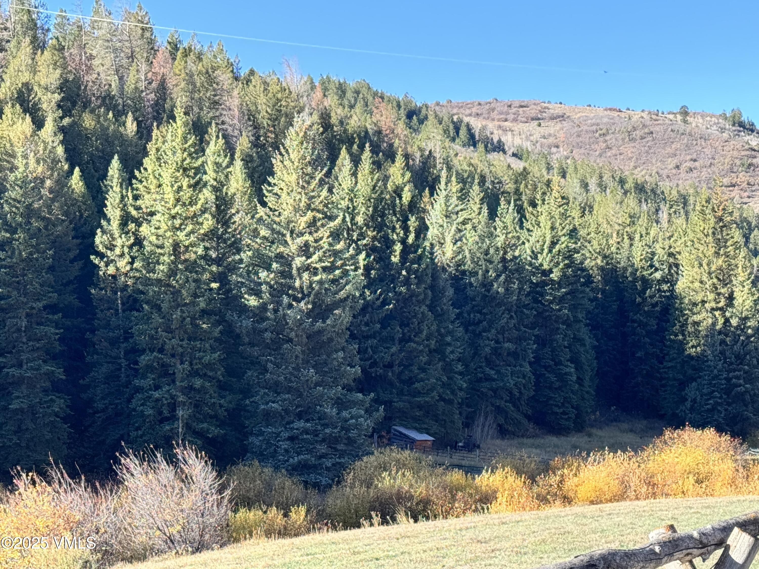 Tbd Salt Creek Road Eagle, CO 81631 - Photo 4 of 12 a view of a bunch of trees and bushes