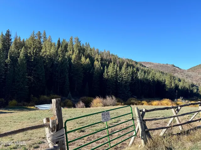 a view of a chairs and table in the backyard