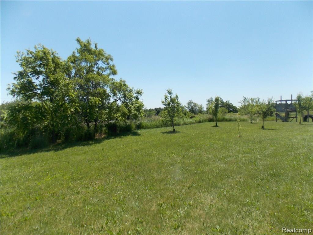 10955 Bethel Church Road Manchester, MI 48158 - Photo 34 of 39 East side yard