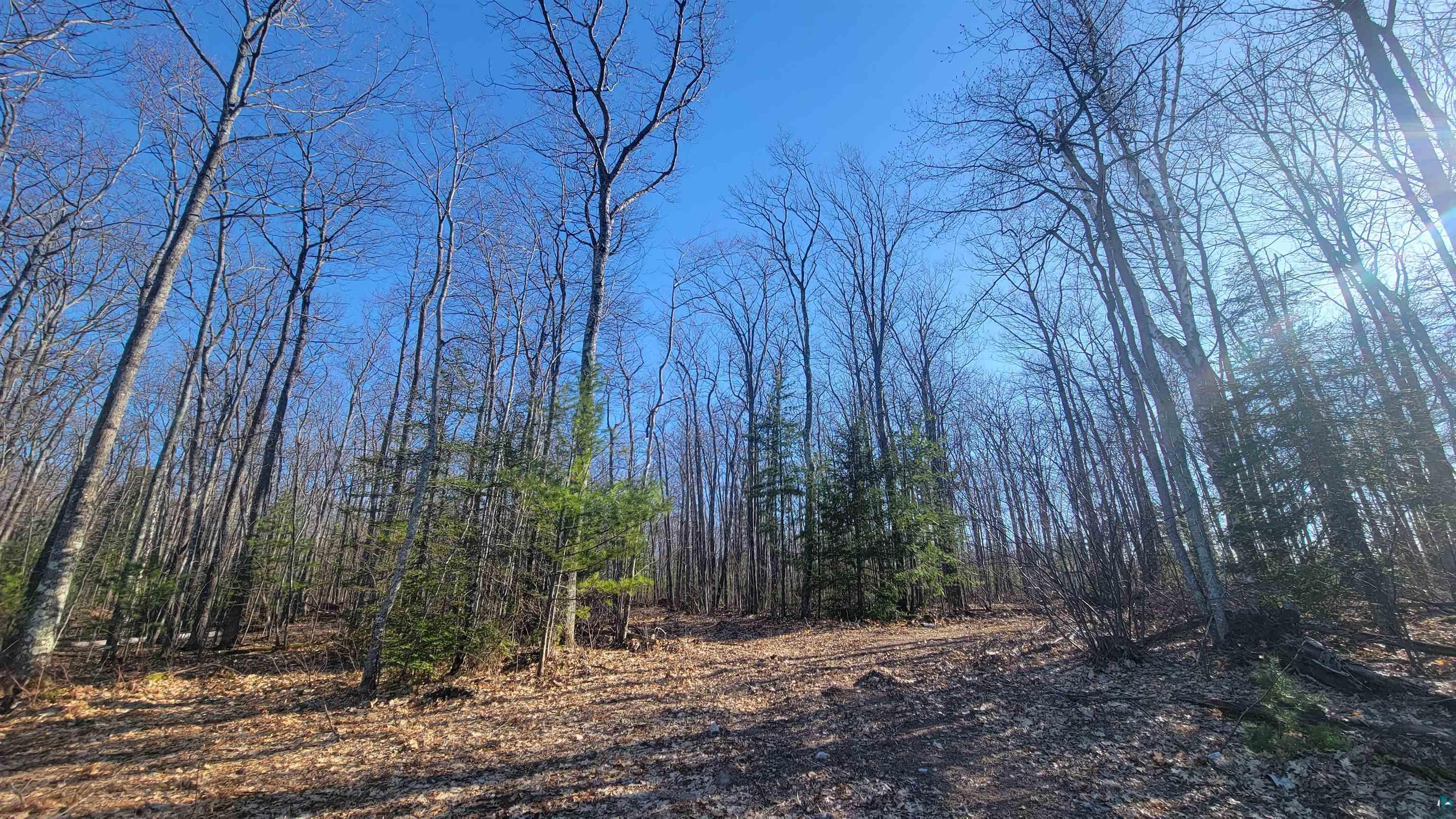 888-xx Turner Road Bayfield, WI 54814 - Photo 23 of 26 Gallery Image 23