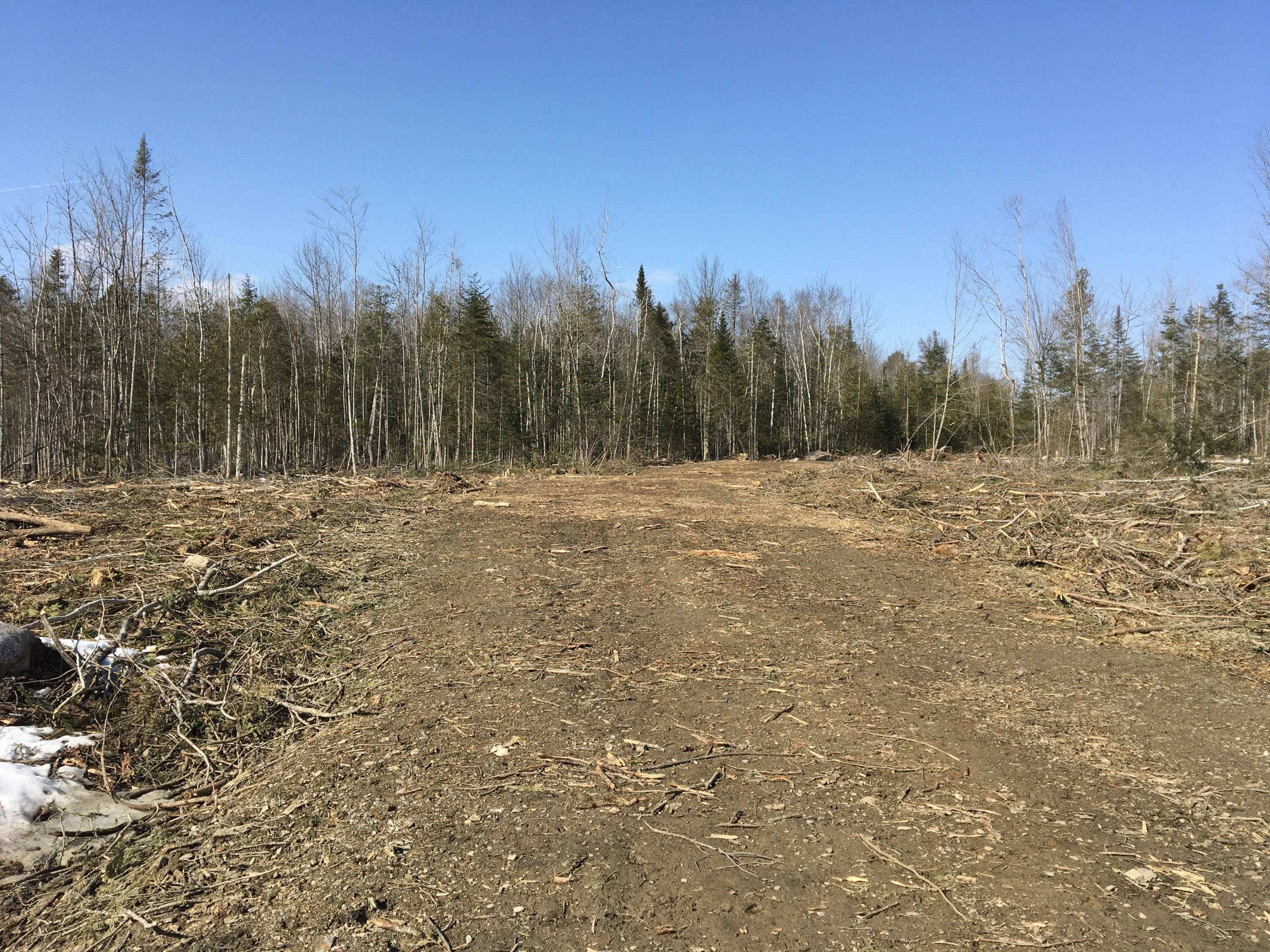 566 Warren Hill Road Palmyra, ME 04965 - Photo 5 of 12 IMG_3143