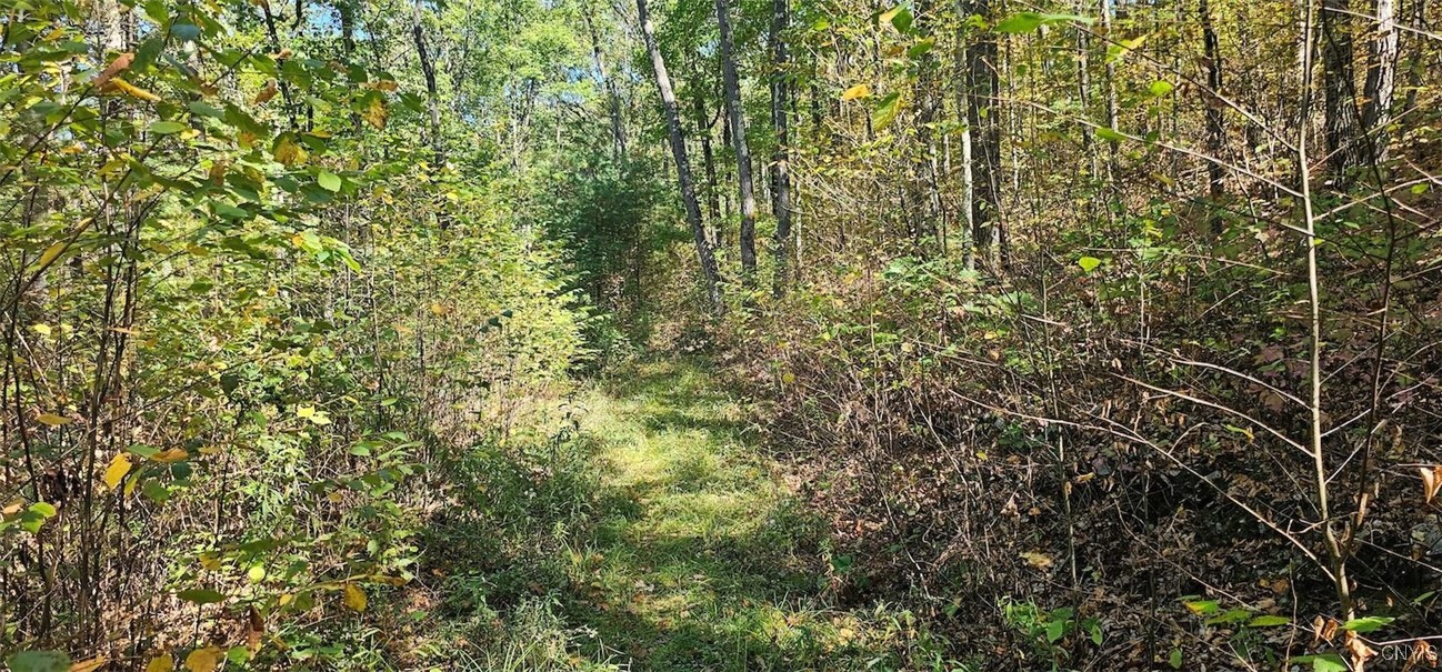 Talmadge Hill Road West Waverly, NY 14892 - Photo 11 of 25