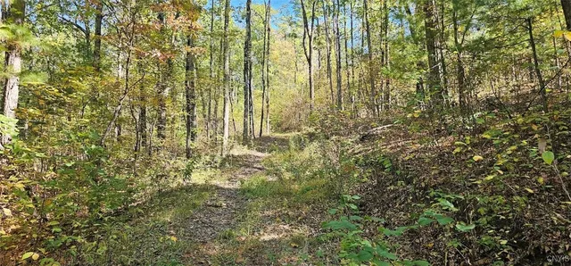 $77,000 | Talmadge Hill Road West, Waverly, NY 14892