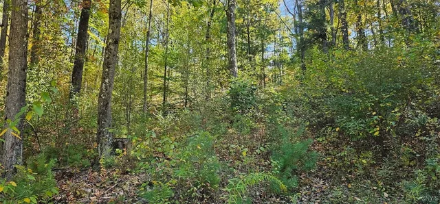 $77,000 | Talmadge Hill Road West, Waverly, NY 14892