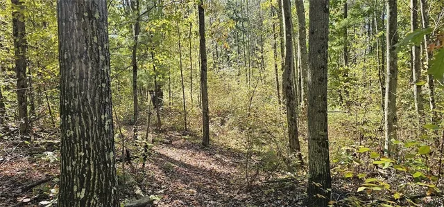 $77,000 | Talmadge Hill Road West, Waverly, NY 14892