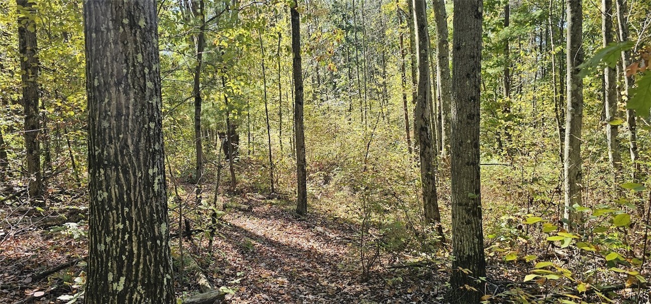 Talmadge Hill Road West Waverly, NY 14892 - Photo 14 of 25