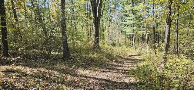 $77,000 | Talmadge Hill Road West, Waverly, NY 14892