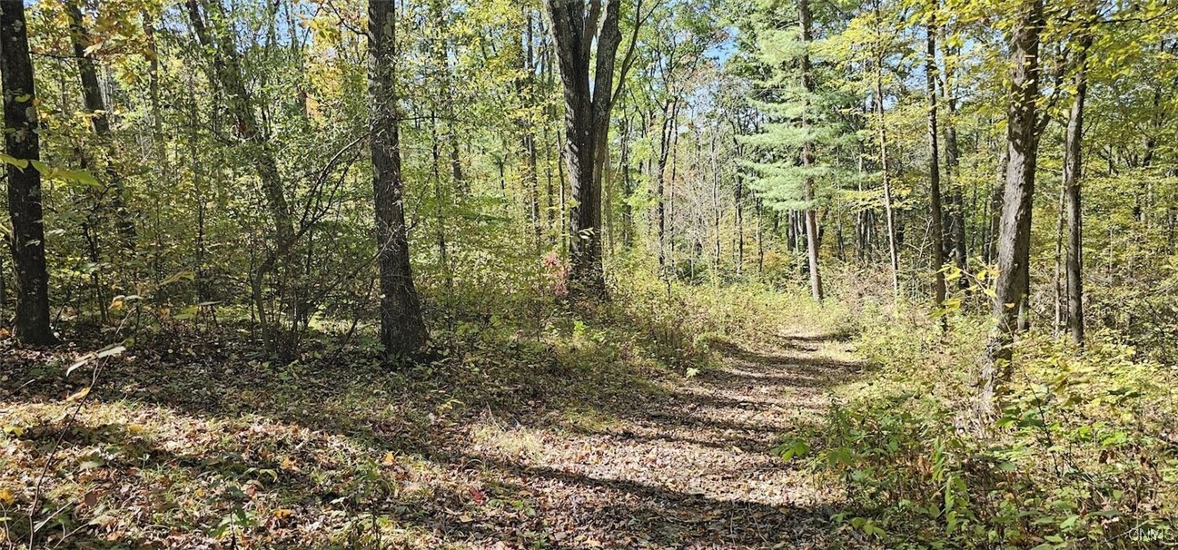 Talmadge Hill Road West Waverly, NY 14892 - Photo 16 of 25