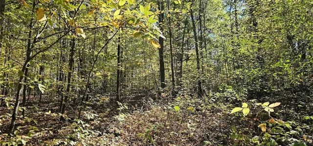 $77,000 | Talmadge Hill Road West, Waverly, NY 14892