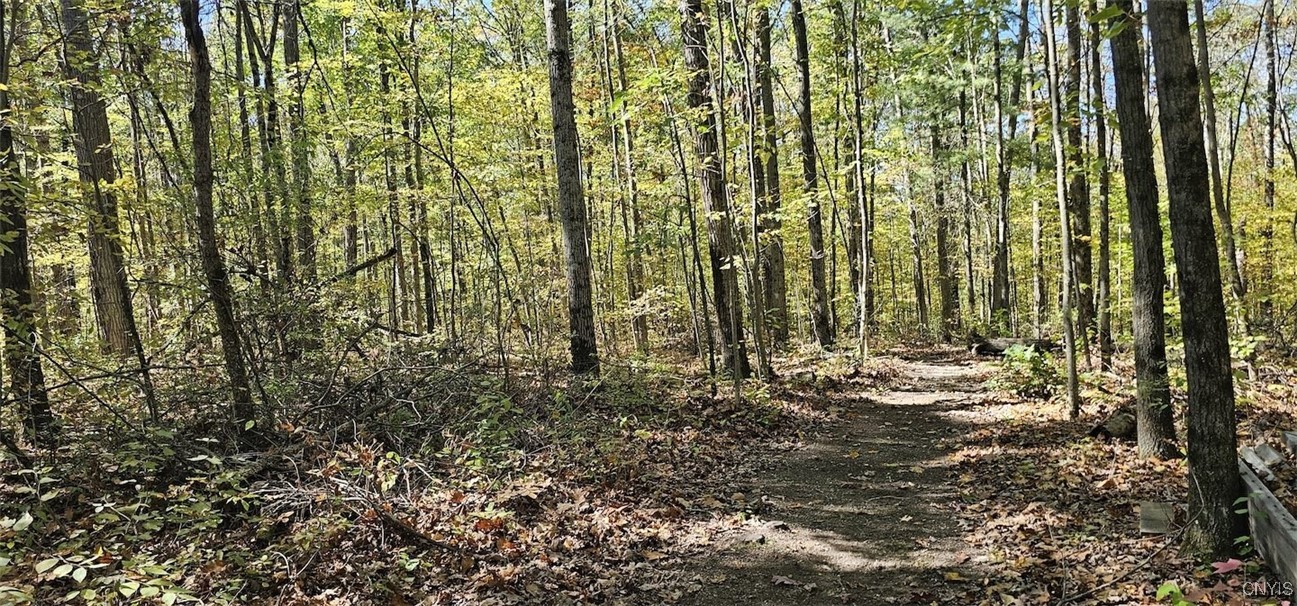 Talmadge Hill Road West Waverly, NY 14892 - Photo 18 of 25