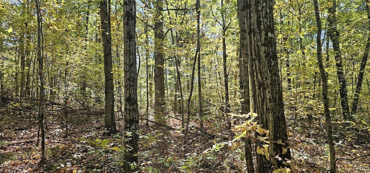 Talmadge Hill Road West Waverly, NY 14892 - Photo 19 of 25