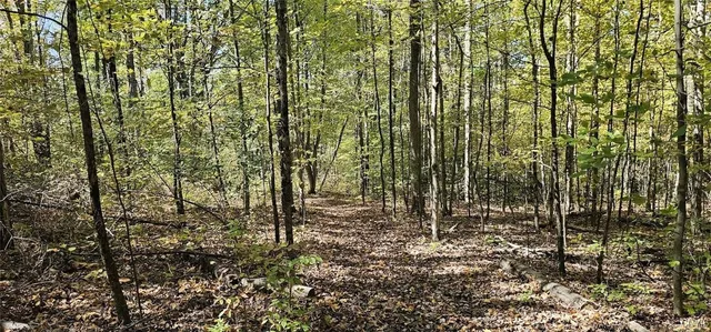 $77,000 | Talmadge Hill Road West, Waverly, NY 14892