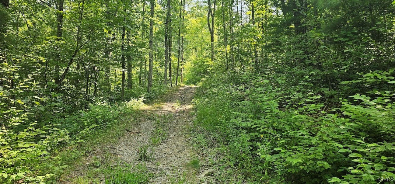 Talmadge Hill Road West Waverly, NY 14892 - Photo 2 of 25