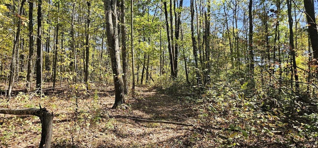 Talmadge Hill Road West Waverly, NY 14892 - Photo 21 of 25