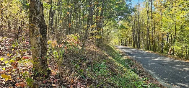 $77,000 | Talmadge Hill Road West, Waverly, NY 14892