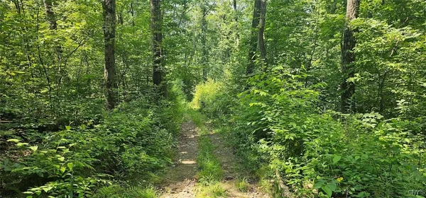 $74,500 | Talmadge Hill Road West, Waverly, NY 14892