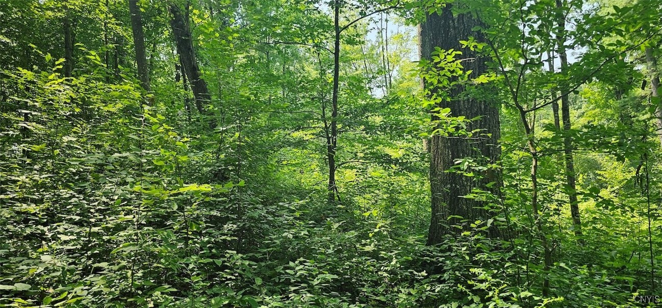 Talmadge Hill Road West Waverly, NY 14892 - Photo 5 of 25