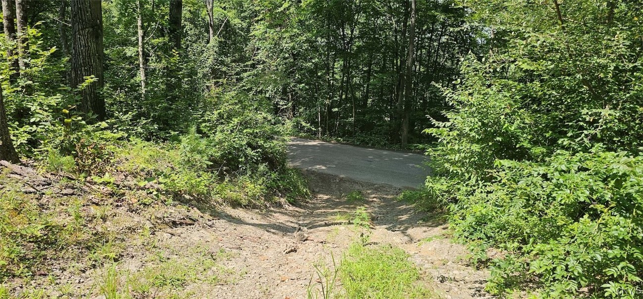 Talmadge Hill Road West Waverly, NY 14892 - Photo 6 of 25