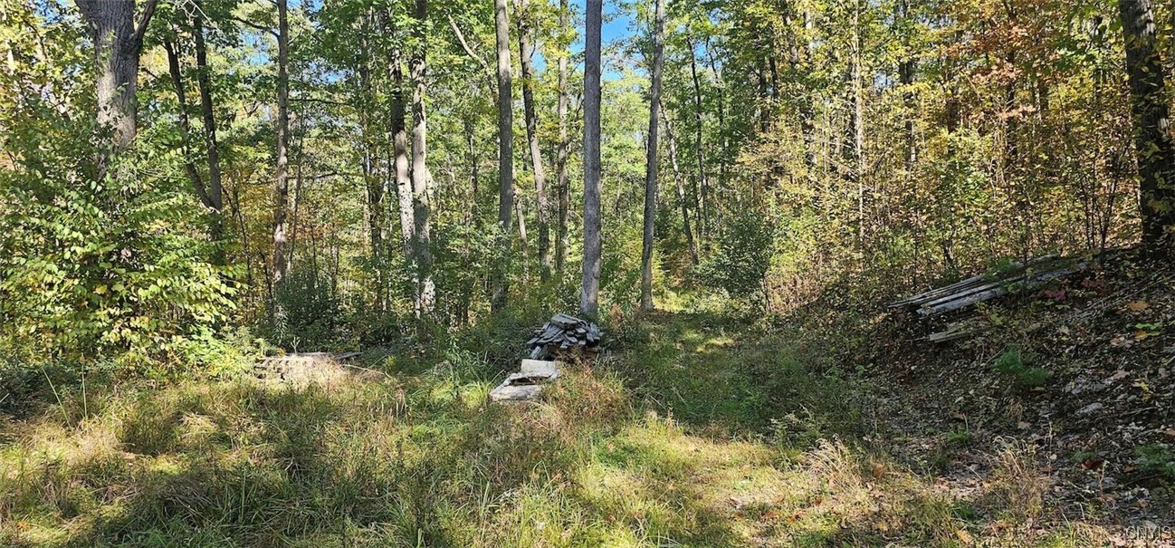 Talmadge Hill Road West Waverly, NY 14892 - Photo 9 of 25