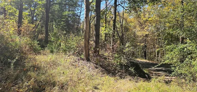 $77,000 | Talmadge Hill Road West, Waverly, NY 14892