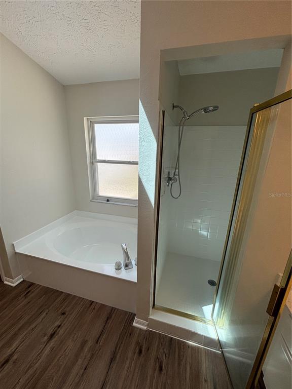 1435 Buckner Road Valrico, FL 33596 - Photo 20 of 53