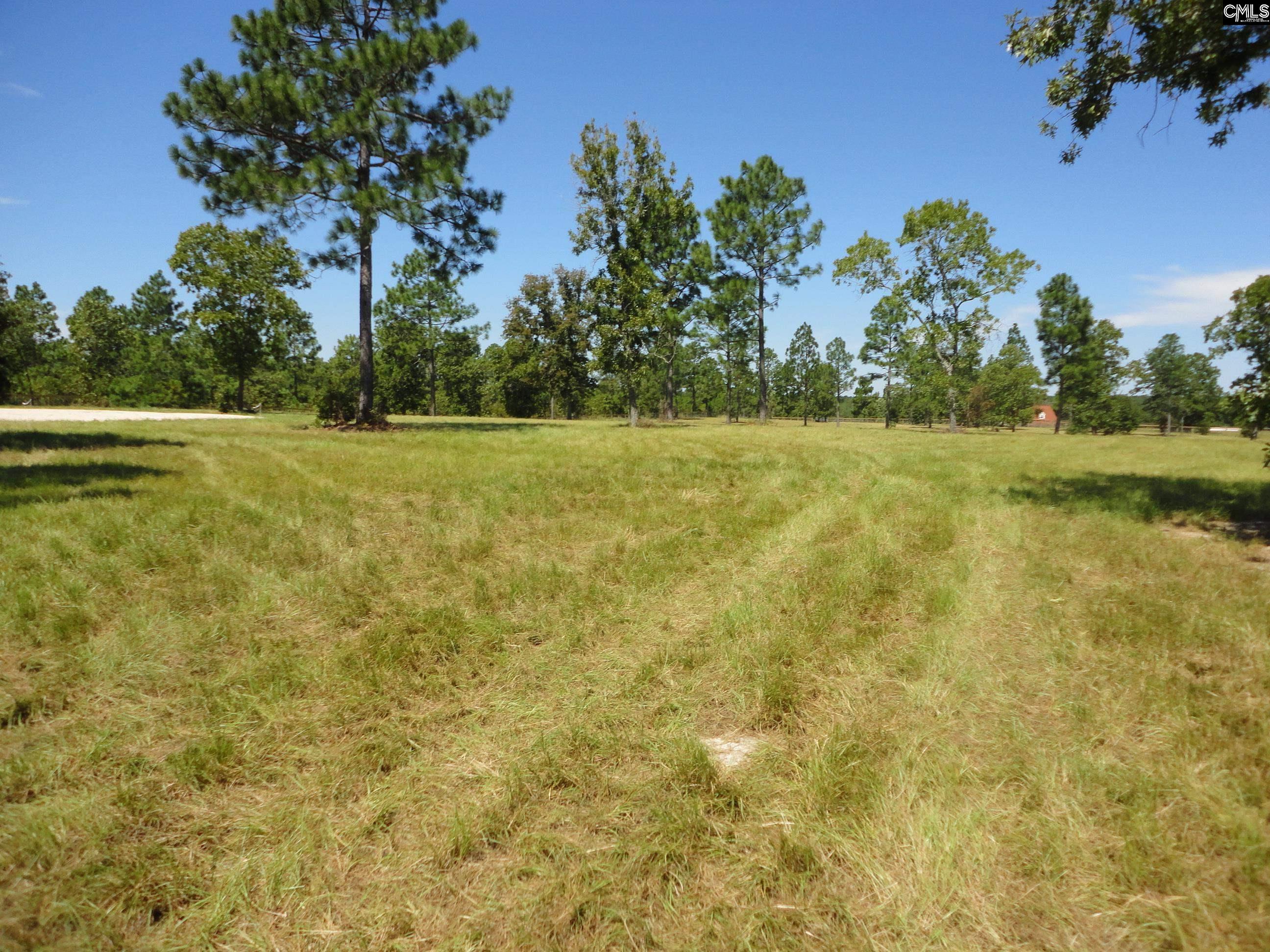 434 Hound Hollow Road Camden, SC 29020 - Photo 20 of 32