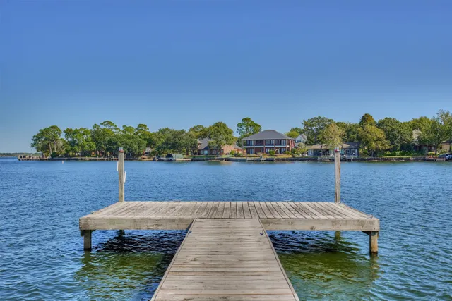 a swimming pool with some plants and large trees