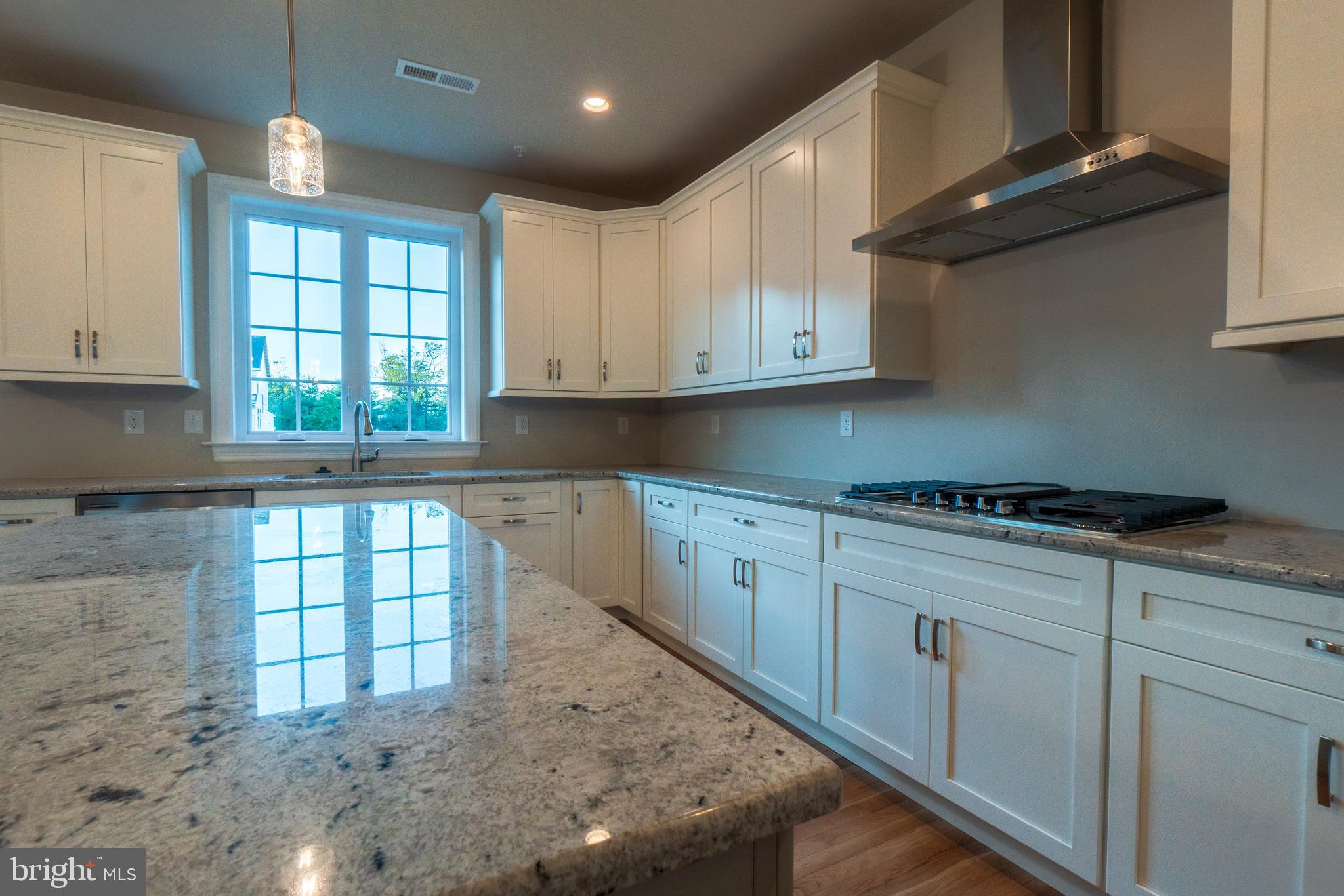 3 Pettit's Bridge Road Jamison, PA 18929 - Photo 25 of 31 Gourmet kitchen