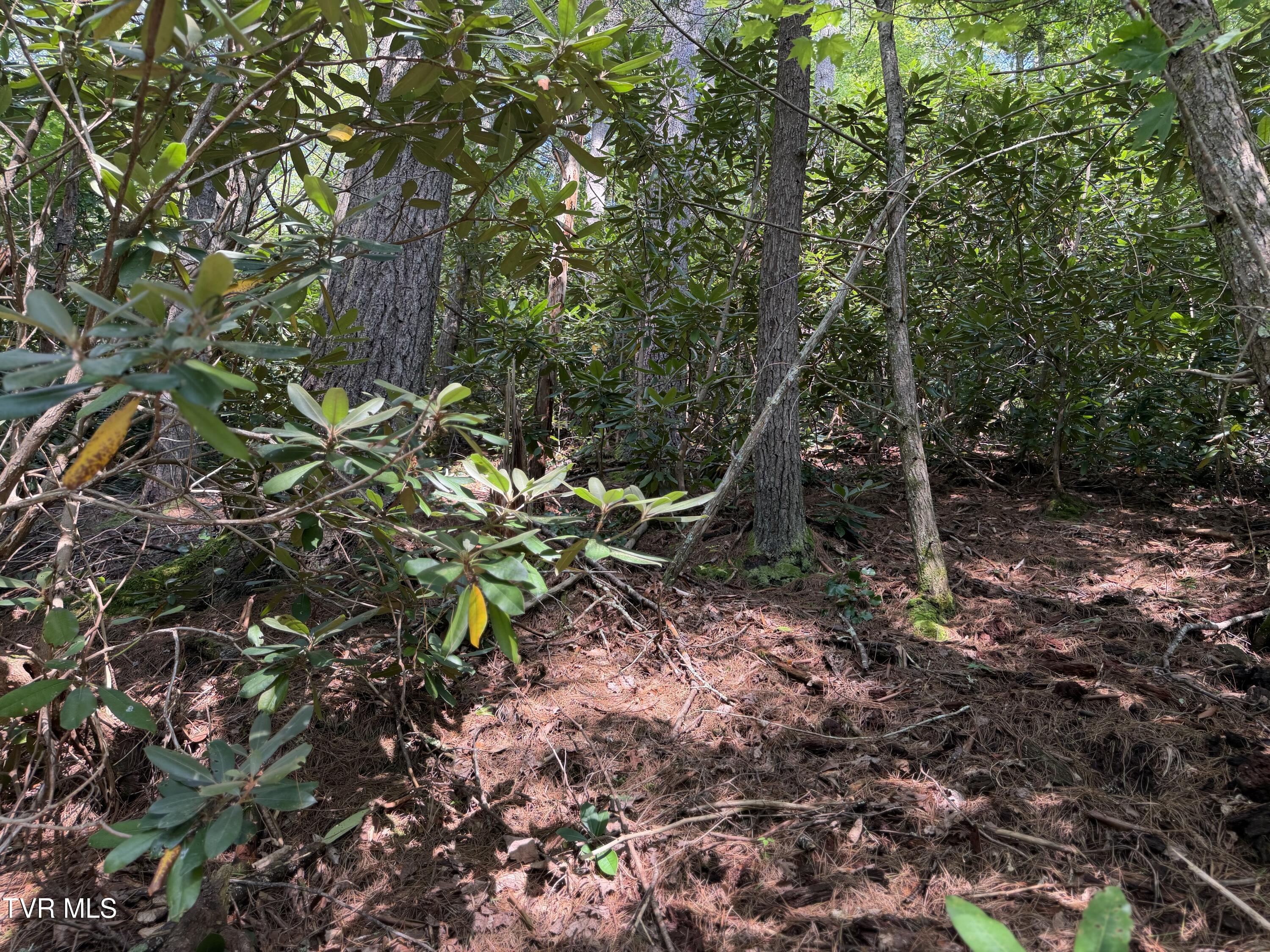 0 East Highway 25 70, Unit 9 Del Rio, TN 37727 - Photo 16 of 19 FullSizeRender