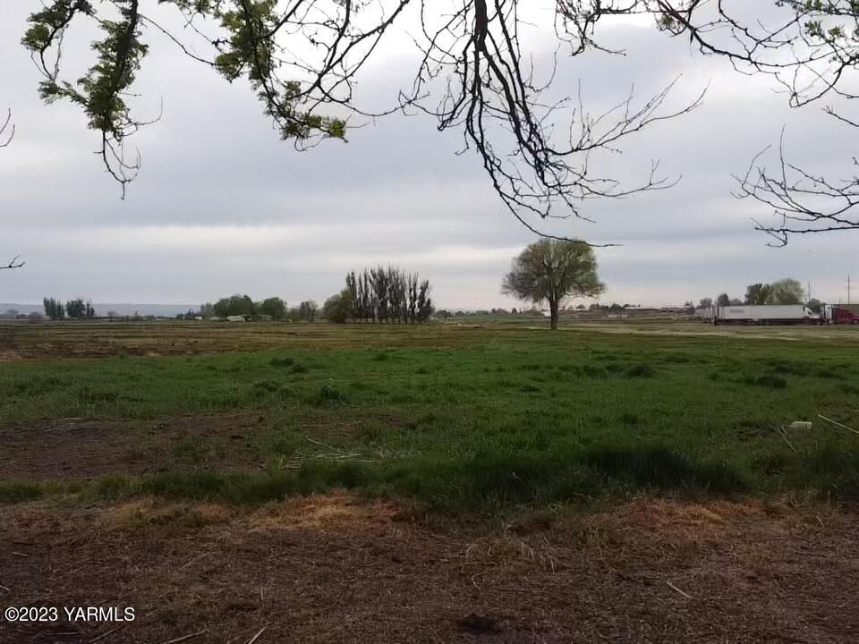 1960 Tear Road Grandview, WA 98930 - Photo 6 of 6 a view of a field of grass and trees