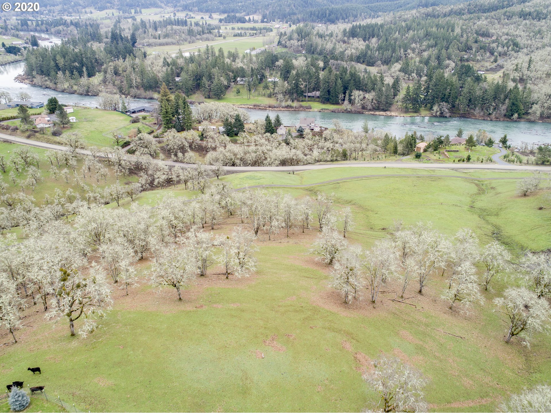14700 North Bank Road Roseburg, OR 97470 - Photo 29 of 30 Gallery Image 29