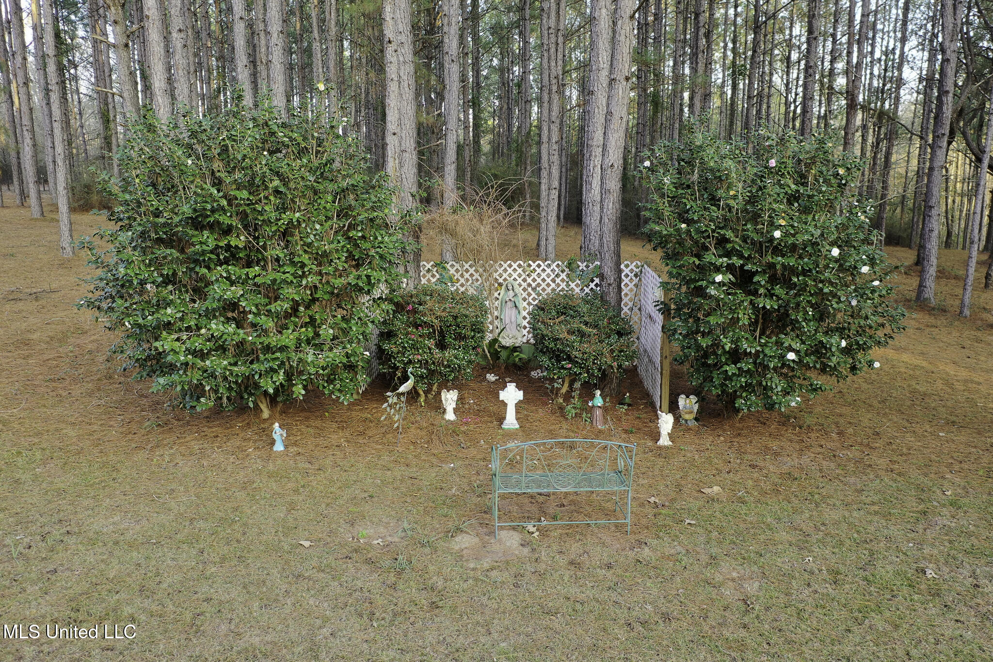 627 Magnolia Road Lumberton, MS 39455 - Photo 43 of 46 LPEMagnoliaRoadAER-26