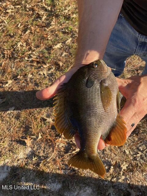 627 Magnolia Road Lumberton, MS 39455 - Photo 45 of 46 IMG_7368