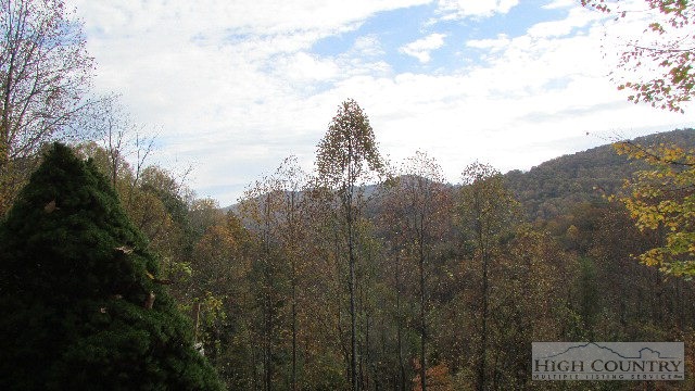 536 Bluestone Wild Road Banner Elk, NC 28604 - Photo 19 of 25 Gallery Image 19
