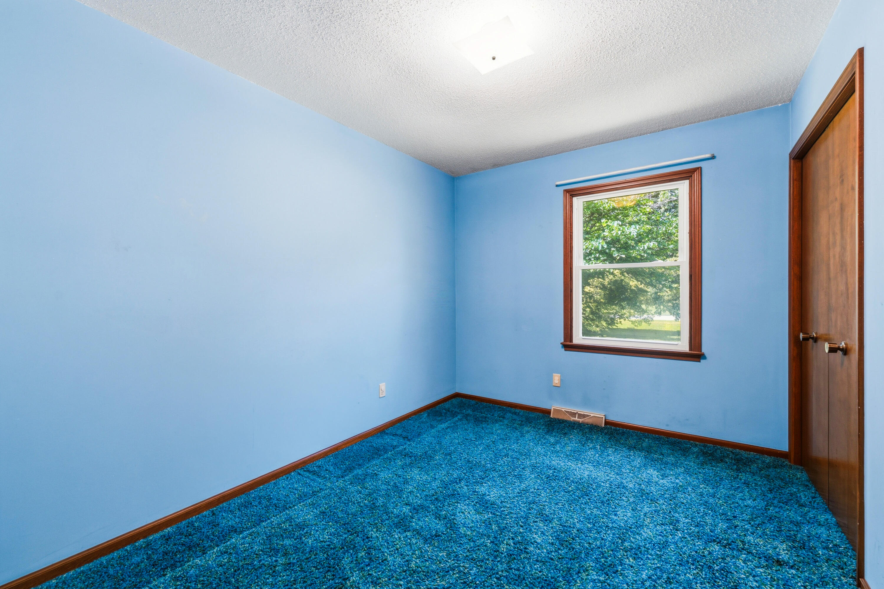 4970 Barnum Road Hastings, MI 49058 - Photo 17 of 35 dsc04236