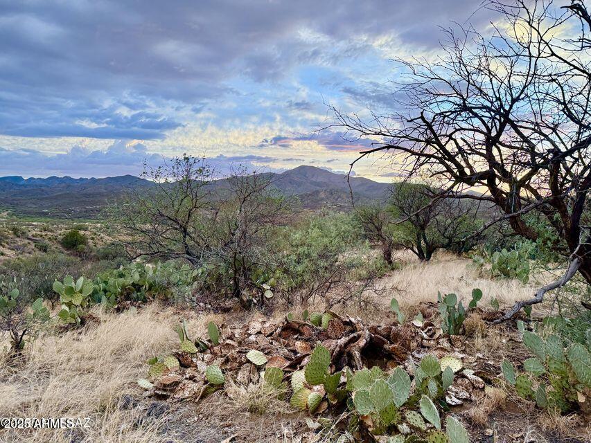 19795 South Attaway Place Vail, AZ 85641 - Photo 23 of 30 a view of mountain view with lots of trees