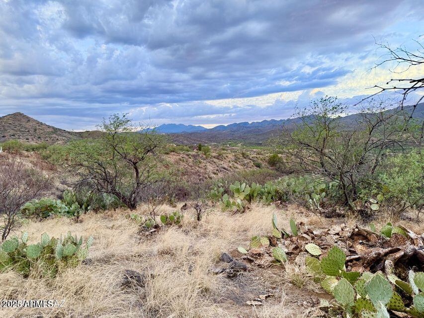 19795 South Attaway Place Vail, AZ 85641 - Photo 24 of 30 a view of a lake with mountains in the background