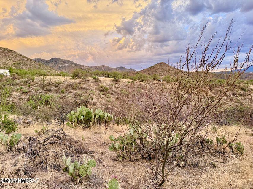 19795 South Attaway Place Vail, AZ 85641 - Photo 27 of 30 a view of a forest with mountains in the background